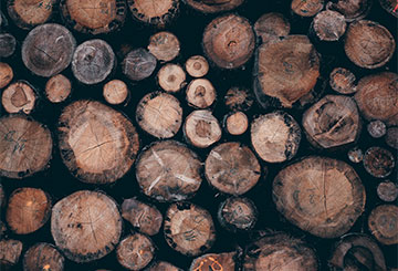 Know your timber types
